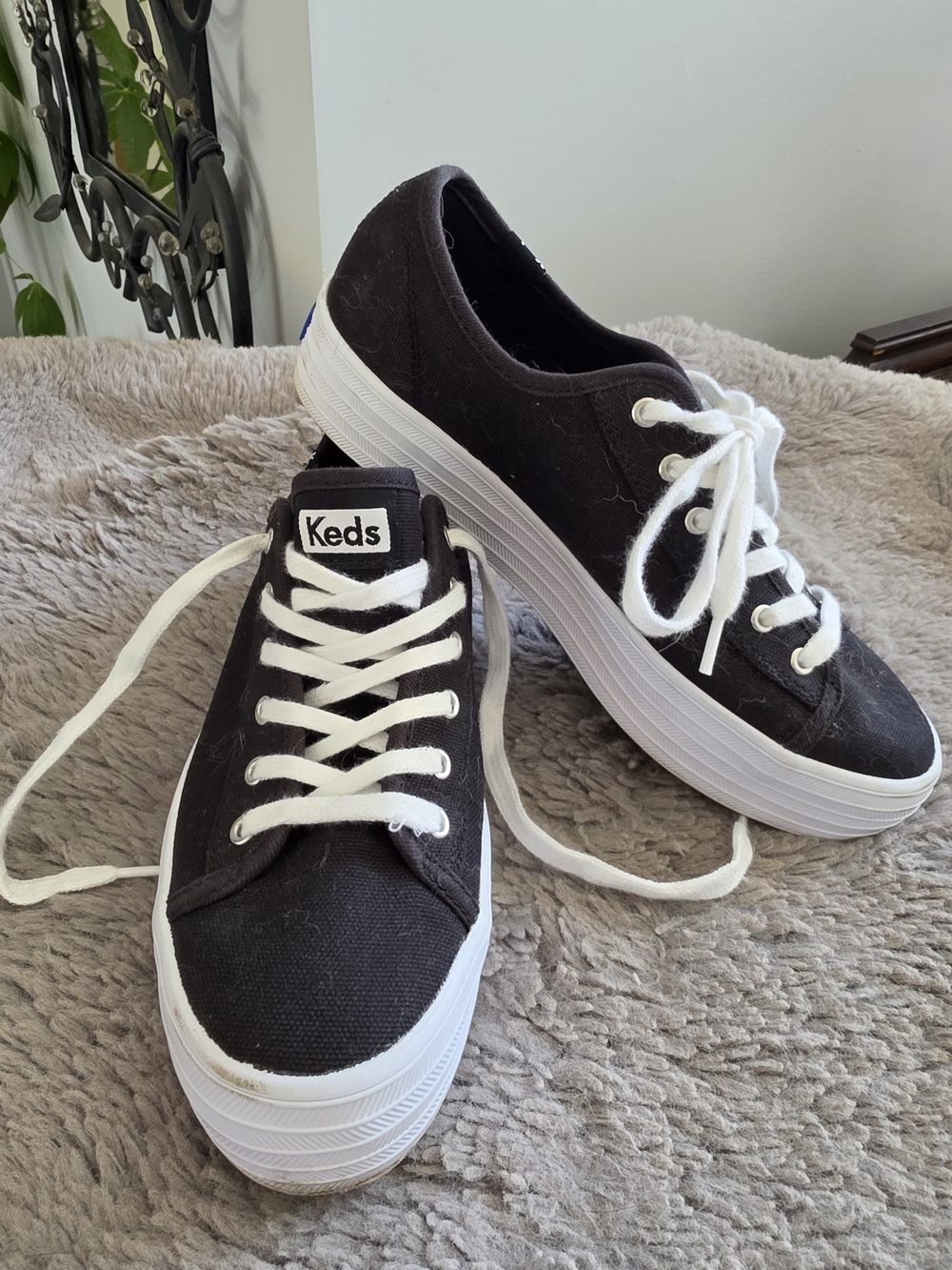 Keds Black Canvas Platform Sneakers with White Laces